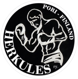 nyrkkeily_logo 4